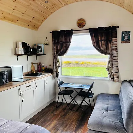 Lejlighed The Dozy Donkey Shepherd Hut & Sauna Farm *