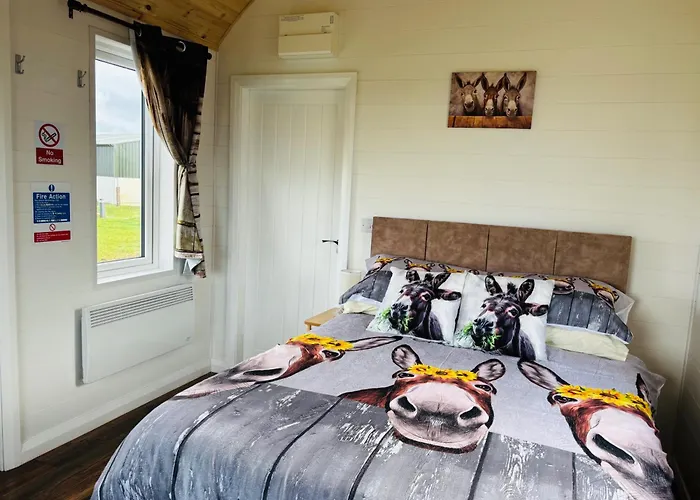 The Dozy Donkey Shepherd Hut Campview Farm * Ballyshannon
