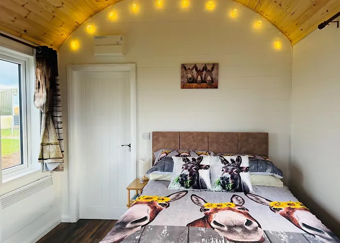 The Dozy Donkey Shepherd Hut Campview Farm