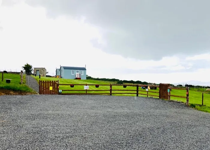 The Dozy Donkey Shepherd Hut Campview Farm *